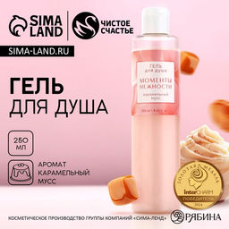 Гель для душа женский «Моменты нежности», 250 мл, аромат карамельного мусса, Чистое счастье