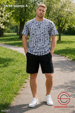 Мужская футболка с принтом