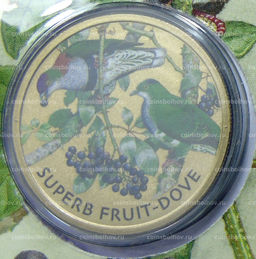 Монета 1 доллар 2021 года Тувалу  Великолепный пёстрый голубь (в конверте с маркой)