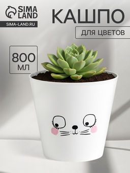 Цена за 2 шт. Кашпо для цветов «Мордочка», 800 мл, d=12 см, h=11 см, пластиковое