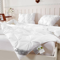 Одеяло Candies с подушками Тесто ODCANPT01 Евро