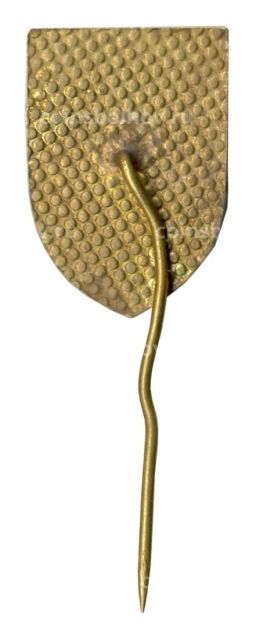 Значок Иван Козарев