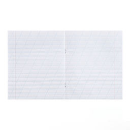 Цена за 200 шт. Тетрадь 12 листов в косую линейку «Зелёная обложка», плотность обложки 80 г/м²