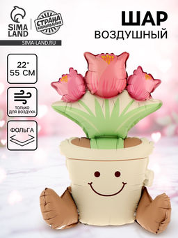 Цена за 2 шт. Шар воздушный фольгированный 22" «Цветок в горшке», матовый, под воздух