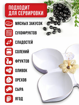 60044 Менажница фарфор 4 секц 20х20х5 LR (х24) - Mayer&boch фото 8