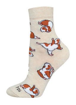 Цена за 2 пары. Носки женские БРЕСТСКИЕ 1102 FUNNY НОСКИ ЖЕНСКИЕ (средней длины)