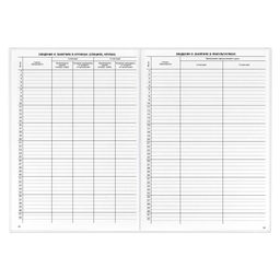 Классный журнал 10-11 класс арт. 5193