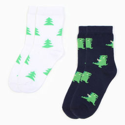 Носки для мальчика KAFTAN «Дракоши», набор 2 пары, размер 14-16