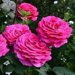 421e1cfffeb424d8cd83c8406386c403894u14lgkll28cq3d