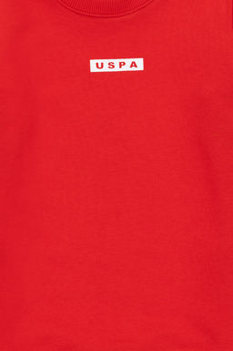 Красная толстовка для мальчика Неожиданная скидка в корзине - U.s. polo assn фото 5