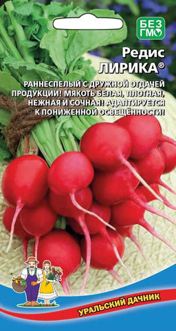 Редис ЛИРИКА  Раннеспелый с дружной отдачей продукции! Мякоть белая, плотная, нежная и сочная! Адаптируется к пониженной освещённости!