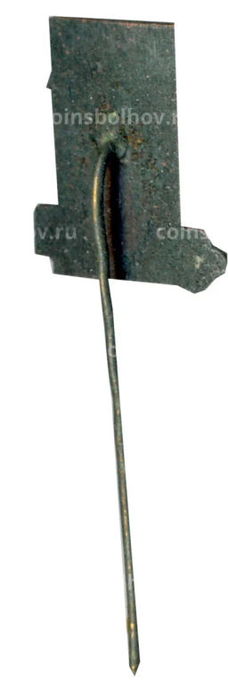 Значок Турайда