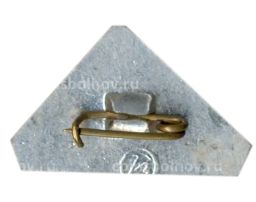 Значок Молдавия