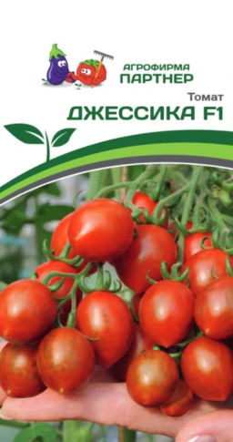 Томат Джессика