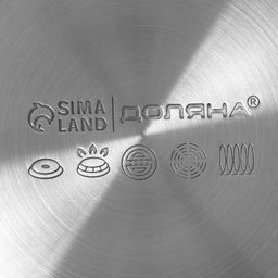 Чайник Доляна «Чёрная ночь», 2 л, со свистком, индукция, нержавеющая сталь, хромированный