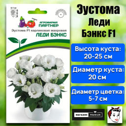 Эустома карликовая махровая белая Леди Бэнкс - Партнер фото 2