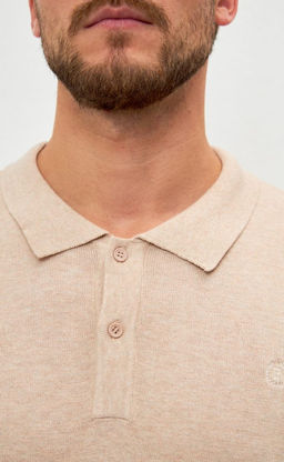 Джемпер мужской с отложным воротником и планкой на пуговицах F221-15-22021 бежевый - Fine joyce фото 4