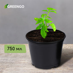 Цена за 50 шт. Горшок для рассады, 750 мл, d=12 см, h=10.5 см, чёрный, Greengo