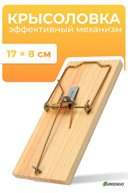 Цена за 2 шт. Крысоловка, 17 × 8 см, дерево, Greengo