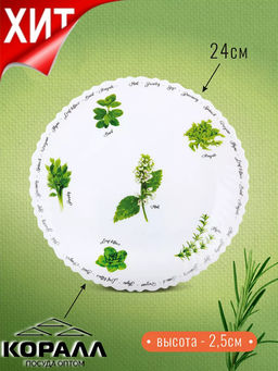 Тарелка плоская 24см, Verdi BY23 LHP95-7304