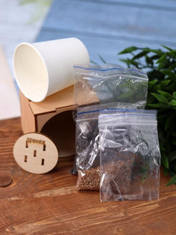 Набор для выращивания "Экокуб Magicme" - Шалфей