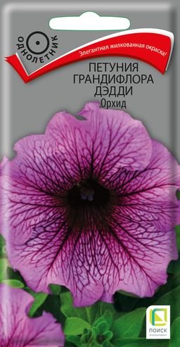 Петуния грандифлора Дэдди Орхид (ЦВ) (1) 10шт
