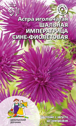 Астра ШАЛЬНАЯ ИМПЕРАТРИЦА СИНЕ-ФИОЛЕТОВАЯ  Игольчатая