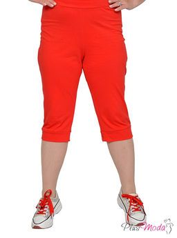 Бриджи Модель №1661 размеры 44-84