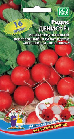 Редис ДЕНИС F1 Всего 16 дней! Всесезонный! В салат и листочки и корешочки!