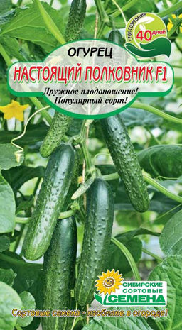 Настоящий полковник F1 огурец 7шт (ссс) Р парт Селекция "Манул"
