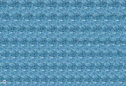 Стереокартинки. Тренируем зрение со стереокартинками - Робинс фото 4