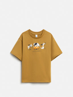 ACOOLA / Футболка детская для мальчиков Devon горчичный  фото 3