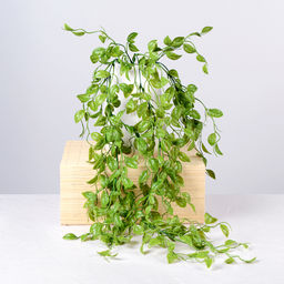 Зелень искусственная 80 см / N715-780 /уп 2/40/300/ - Галеонтрейд фото 6