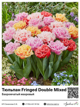 429f3ba75d4526e5a150ba2ffcf07e103vujt394nbmaqhejrr