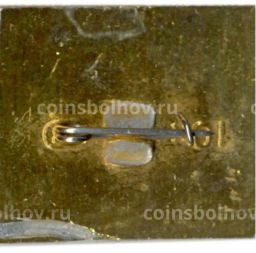 Значок Суздаль