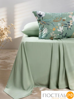 КПБ CASSIA СЕВИМ  фото 5