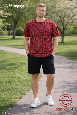 Мужская футболка с принтом