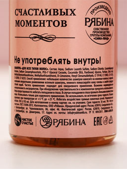 Цена за 2 шт. Шампунь для волос во флаконе шампанское «Ты лучше всех», 250 мл, Чистое счастье