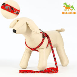 Комплект прошитый Милитари, поводок 120 х 1 см, ОГ 23-35 см, красный
