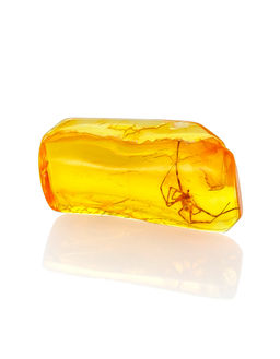 Сувенирная стойка с янтарём с инклюзом паука