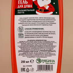 Гель для душа, 250 мл, аромат карамельного латте, URAL LAB