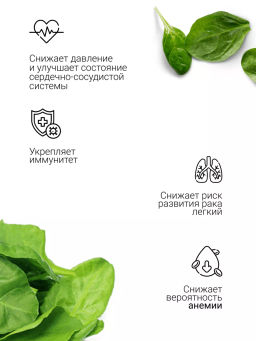 Шпинат порошок 100г (состав: порошок шпинат) - Sneko Gold фото 19