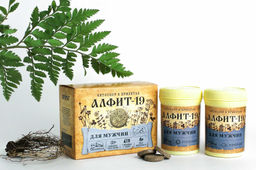 Алфит-19 Для мужчин БАД в брикетах Алфит 1201