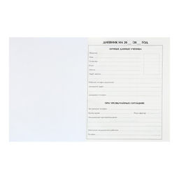 Дневник для 5-11 классов, Розовый с блестками, твердая обложка 7БЦ, глянцевая ламинация, 48 листов - Calligrata фото 5