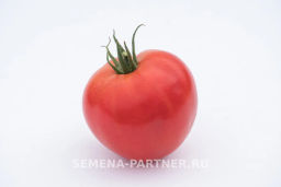 Томат Деметра - Партнер фото 3