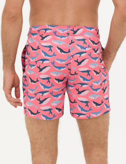 Pembe Deniz _ortu