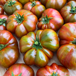 Гном Осенняя королева золотая НОВИНКА 2025 года!