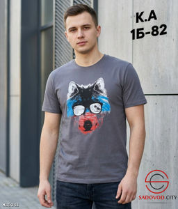 Мужская футболка с рисунком