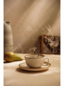 Чайная пара SL Home «Леггеро», 280 мл, блюдце d=14 см, фарфор, бежевая