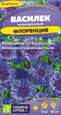 Цветы Василек Флоренция низкорослый/Сем Алт/цп 0,2 гр.